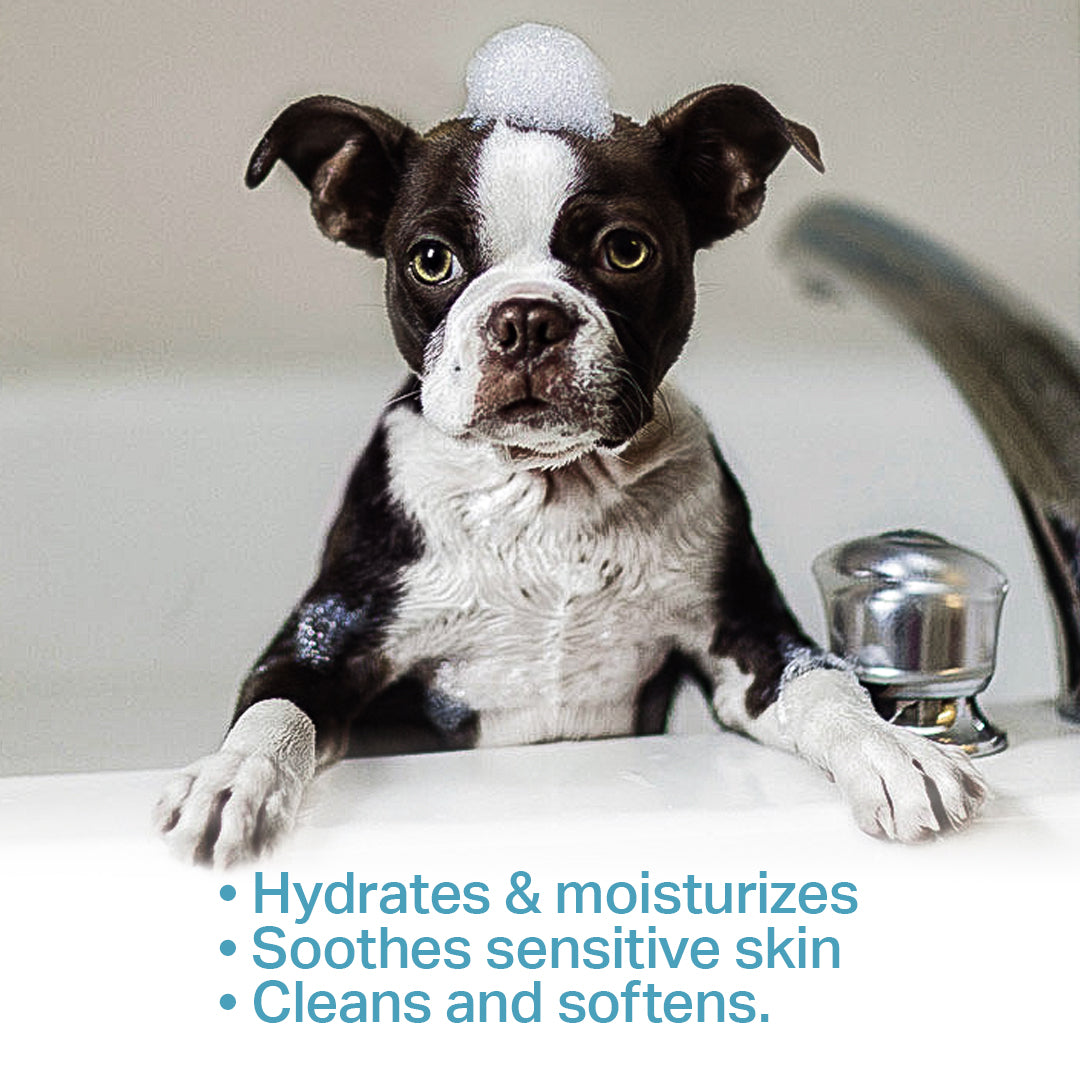 Infographic showcasing a dog covered in shampoo bubbles, representing the benefits of Renegade Products American Canine Line&#39;s 5-in-1 oatmeal shampoo for dogs