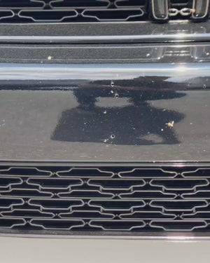 Renegade Buzz-Off Insecte Enlève-insectes